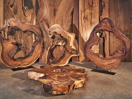 Hollow Wood – A Rare and Valuable Resource at Nobletimber